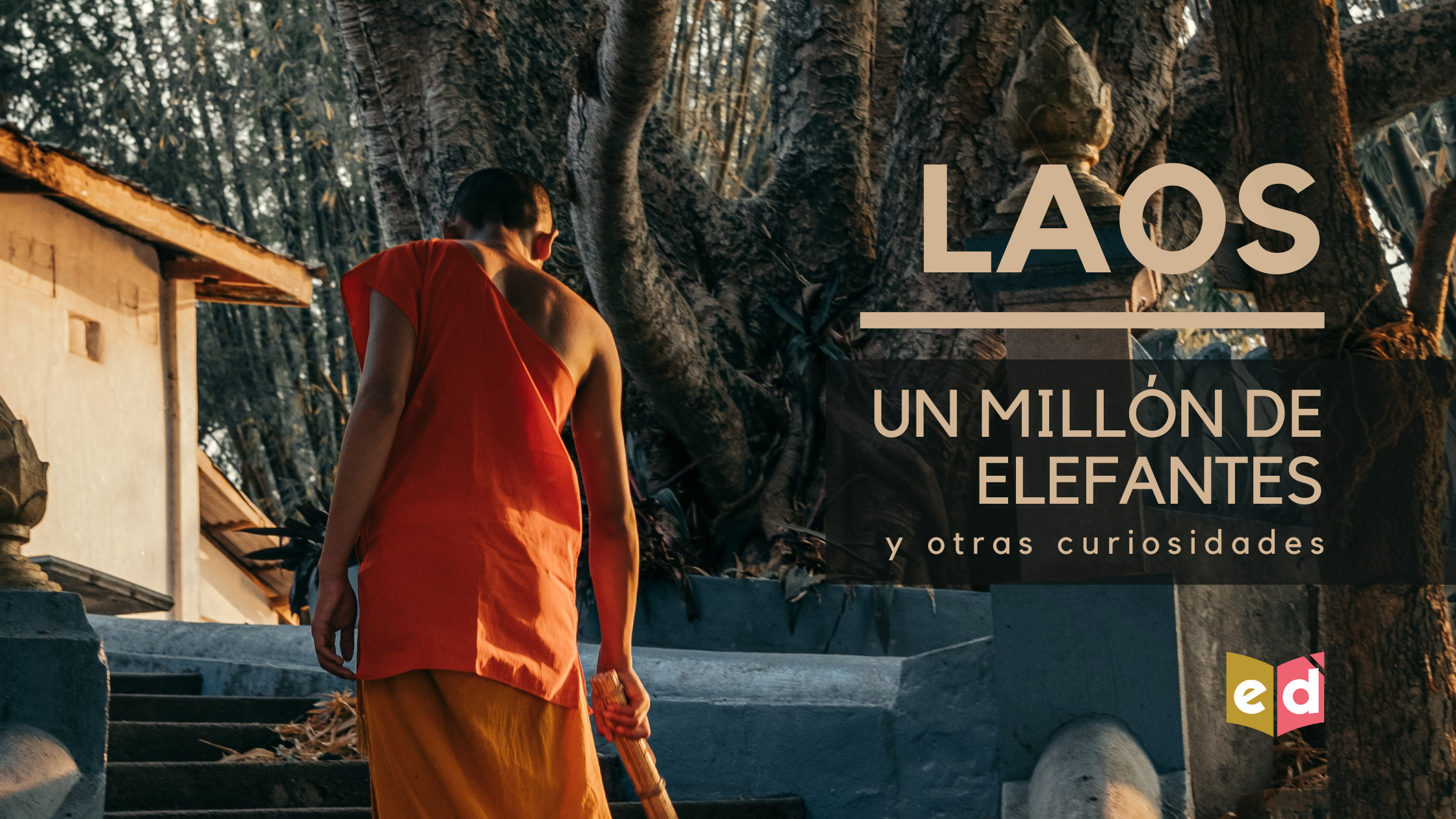 Laos: un millón de elefantes y otras curiosidades | Esquinas Dobladas