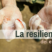 La resiliencia del escritor – Esquinas Dobladas