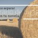 Cómo separar el grano de la paja en tu novela